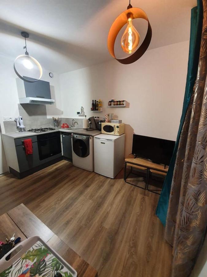 Charmant Petit F1 Apartment Tain-l'Hermitage Luaran gambar